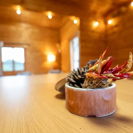 Vacation House Kawaraya Daisen  Exterior photo